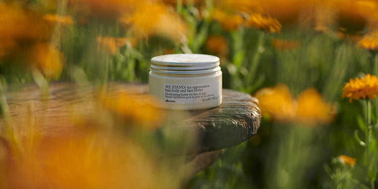 Regalos Davines